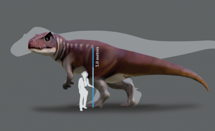 A reconstruction of a Jurassic dinosaur track-maker from southern Queensland in front of a silhouette of the largest known T. rex.